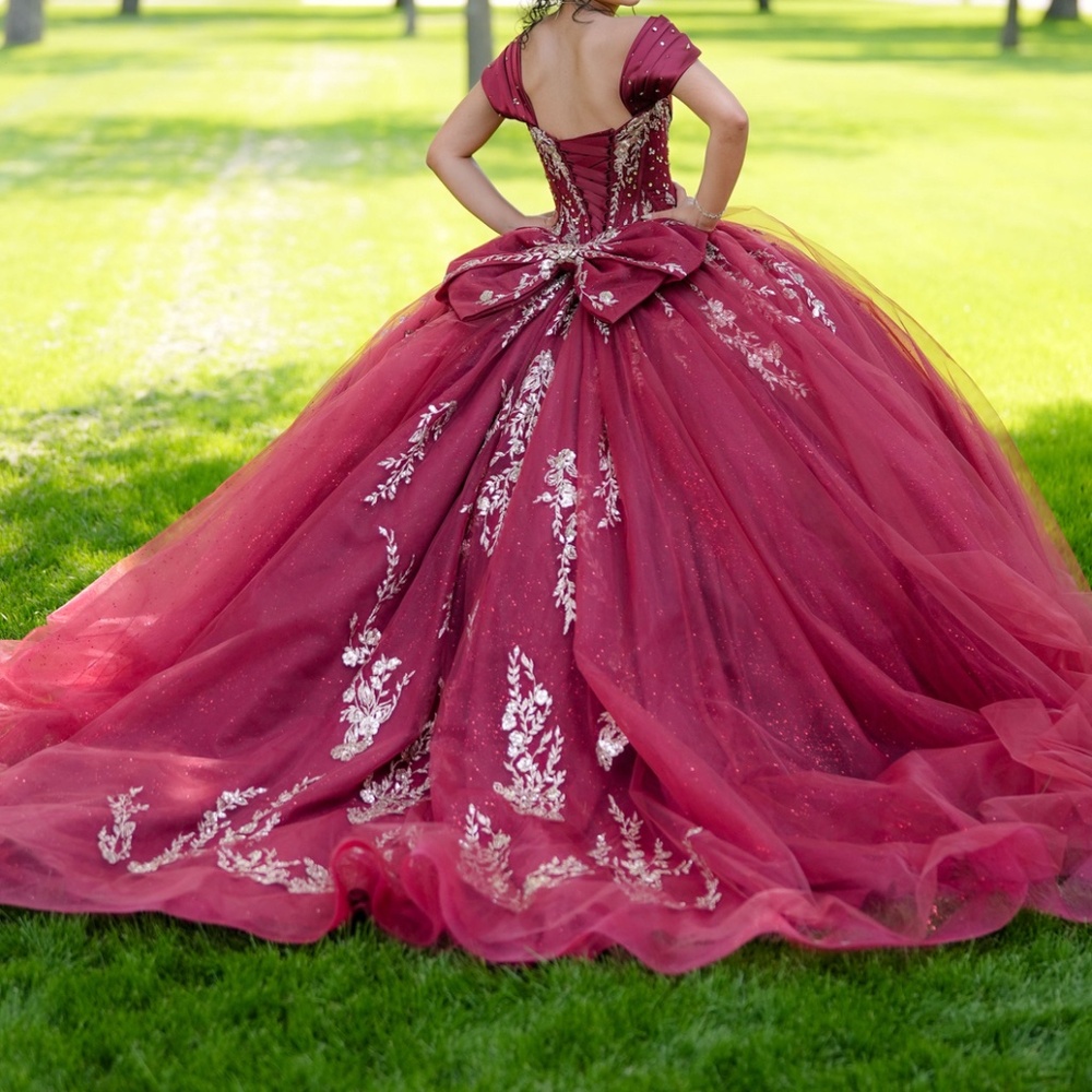 Quinceañera dress